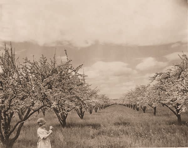Valley of Heart's Delight